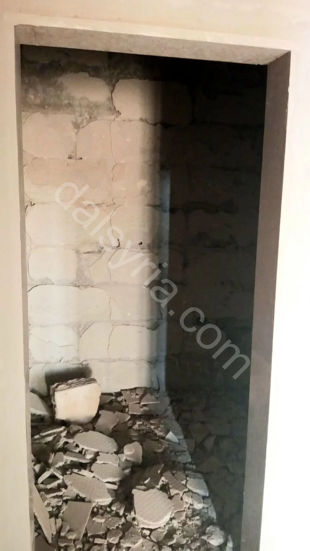Slide 8