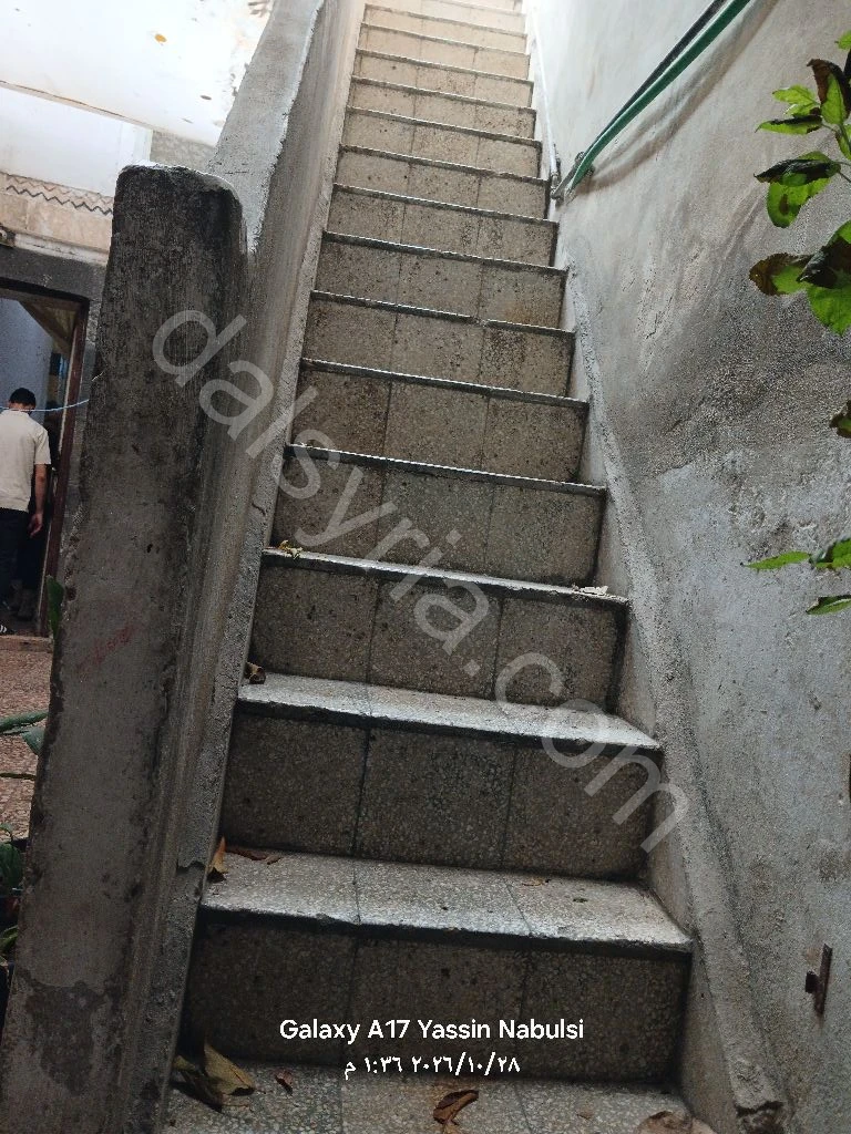Slide 5